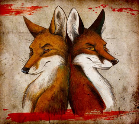 Fox_and_Fox_by_Culpeo_Fox