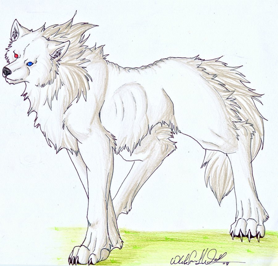 ___WhiteSpiritWolf____by_WhiteSpiritWolf